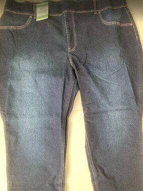 Terra and Sky Women's High Rise Skinny Jeggings